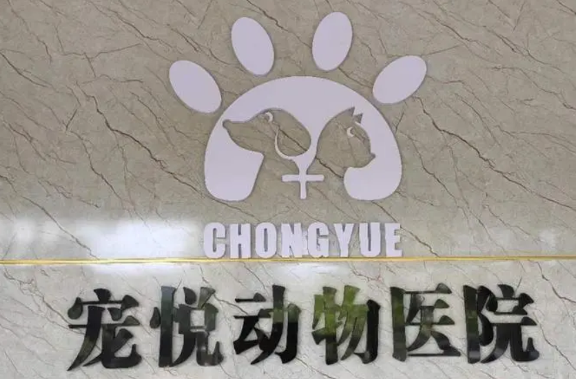 宠悦宠物医院怎么样