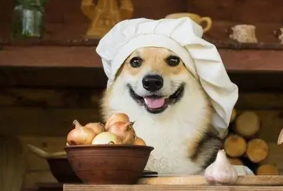 狗能不能吃洋葱