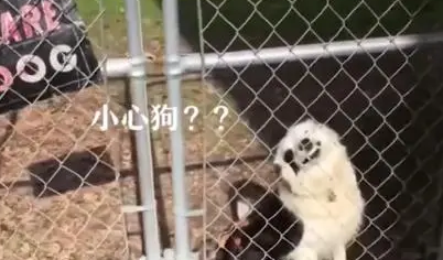 网友路过一户人家，门口挂“内有恶犬”