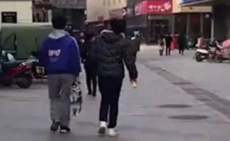 小哈士奇被主人当个包提着走，等它长大后铲屎官怕是要换家具啊