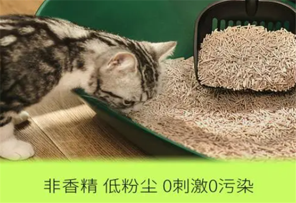 奇偌猫砂效果怎么样 奇偌猫砂效果怎么样