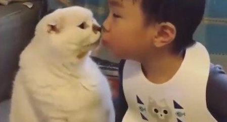 小主人亲了猫咪一口,猫咪也立马回头亲小主人,真温馨 小主人亲了猫咪一口,猫咪也立马回头亲小主人,真温馨