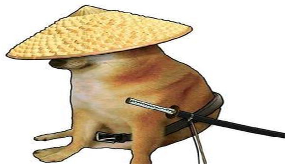cheems武士狗高清头像图片-宠物网