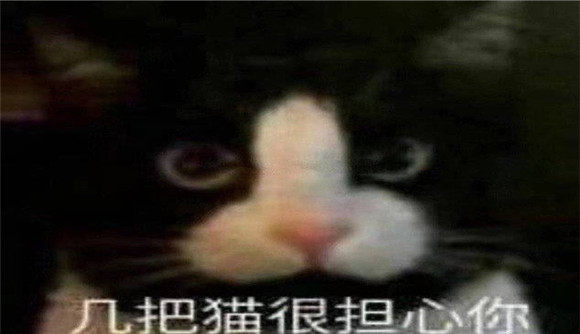 极霸猫很担心你表情包