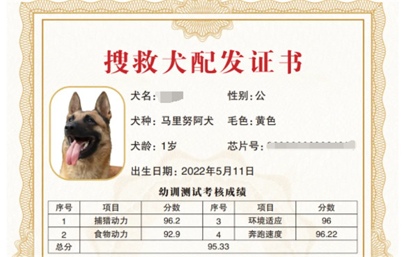 搜救犬证如何办理