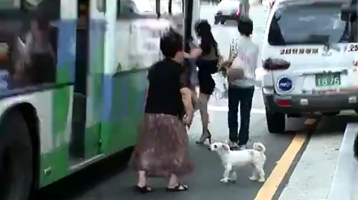 韩国，狗狗每天站在车站等待主人归来，好心人助力它和主人在一起