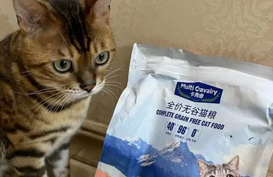 卡弗睿宠物猫粮怎么样？速来了解一波