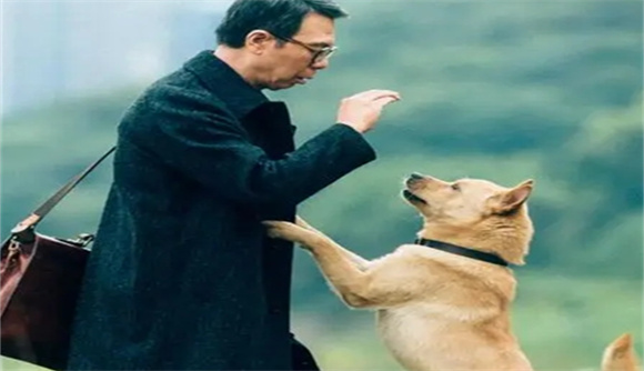 电影忠犬八公冯小刚家世显赫吗