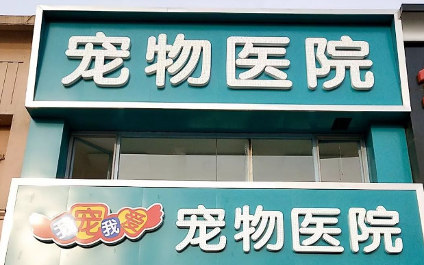 	 宠物摄影小技巧,赶紧马起来——我宠我爱宠物医院