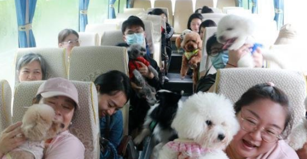 宠在旅途——宠物托运需要注意的事项 宠在旅途——宠物托运需要注意的事项