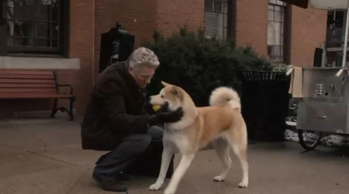 忠犬八公美国版叫什么