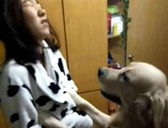 金毛不让女主睡觉，冲她干了这种事，一夜之后女主腿都软了！ 