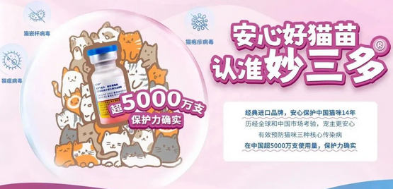 猫猫上呼吸道中的“头号病毒”原来是它? 猫猫上呼吸道中的“头号病毒”原来是它?