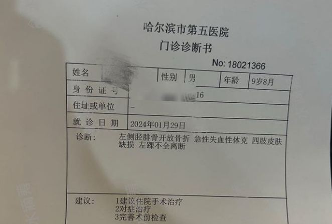 哈尔滨十岁男童遭两恶犬咬成重伤,街道办:狗主人正协助处理 哈尔滨十岁男童遭两恶犬咬成重伤,街道办:狗主人正协助处理