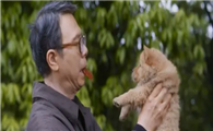 冯小刚收养的狗叫什么
