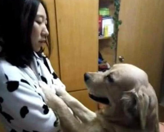 金毛不让女主睡觉，冲她干了这种事，一夜之后女主腿都软了！ 