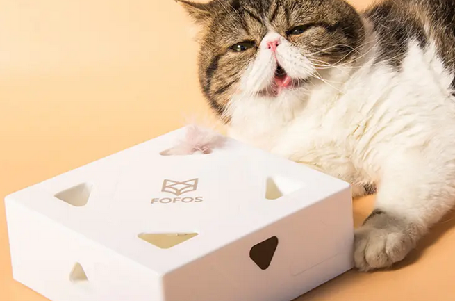 PIIS新品日报丨两只福狸推出新品智能逗猫魔盒,AI仿生智能模拟真实动物躲藏 PIIS新品日报丨两只福狸推出新品智能逗猫魔盒,AI仿生智能模拟真实动物躲藏