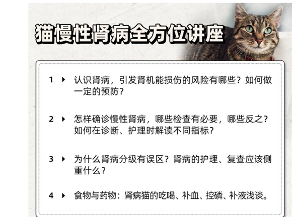 猫慢性肾病全方位讲座:预防,诊治,饮食,护理 猫慢性肾病全方位讲座:预防,诊治,饮食,护理