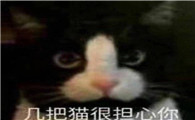 极霸猫很担心你表情包
