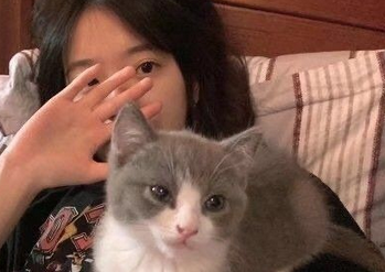 把猫比喻女人 把猫比喻女人