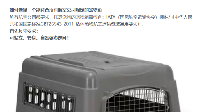 宠在旅途——宠物托运需要注意的事项 宠在旅途——宠物托运需要注意的事项