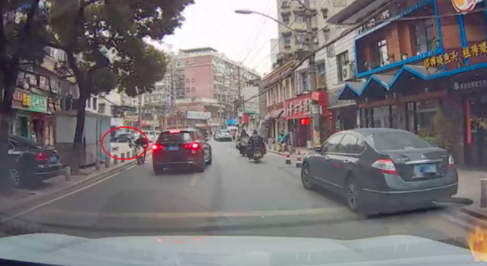 狗狗未栓绳横穿马路被撞,女主人第一时间没看狗,而是去追车赔偿 狗狗未栓绳横穿马路被撞,女主人第一时间没看狗,而是去追车赔偿