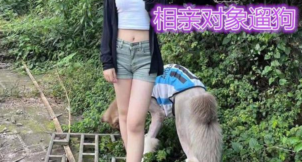男子相亲遇女子养宠物，瞬间心凉：我对养大狗的女子失去兴趣！