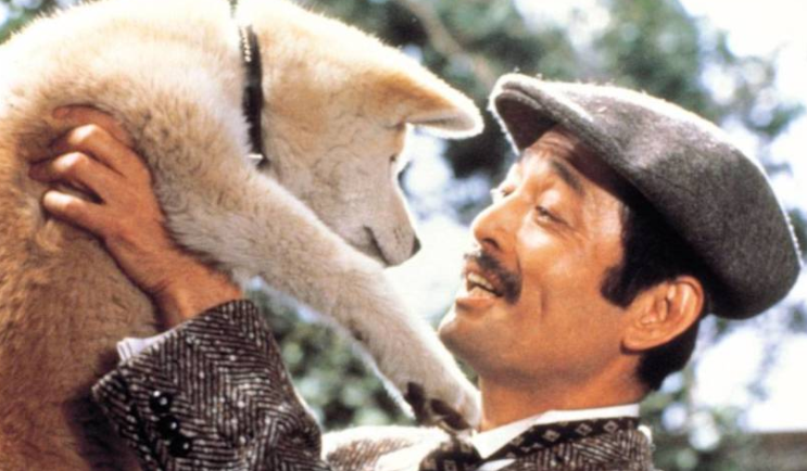 忠犬八公的真实故事简介