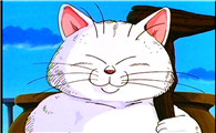 七龙珠里的猫仙人