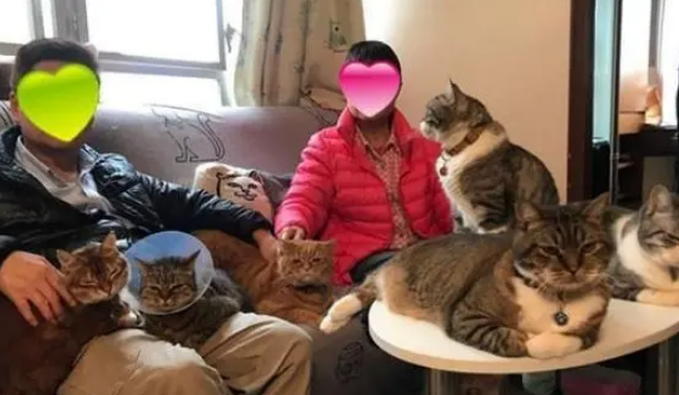 一坐下腿上就爬满了猫,主人抱怨腿麻,网友:这是赤裸裸的炫耀 一坐下腿上就爬满了猫,主人抱怨腿麻,网友:这是赤裸裸的炫耀