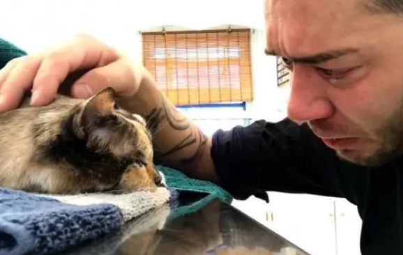 猫咪去世后，主人不舍“一吻”：你在喵星要好好的