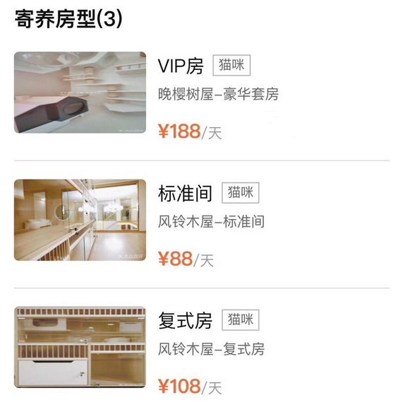假期宠物寄养服务火热,部分宠物店需提前半月预订“床位” 假期宠物寄养服务火热,部分宠物店需提前半月预订“床位”