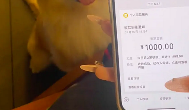 金毛偷跑进彩票店咬了张彩票,因有划痕只好买下来,竟中了一千! 金毛偷跑进彩票店咬了张彩票,因有划痕只好买下来,竟中了一千!