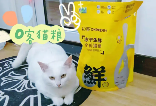 o客猫粮怎么样