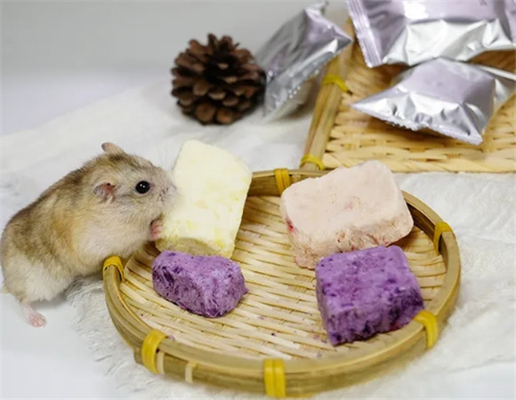 仓鼠饮食大揭秘:这些小家伙究竟爱吃什么? 仓鼠饮食大揭秘:这些小家伙究竟爱吃什么?