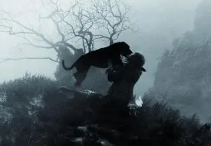 巴斯克维尔猎犬人物关系 巴斯克维尔猎犬人物关系