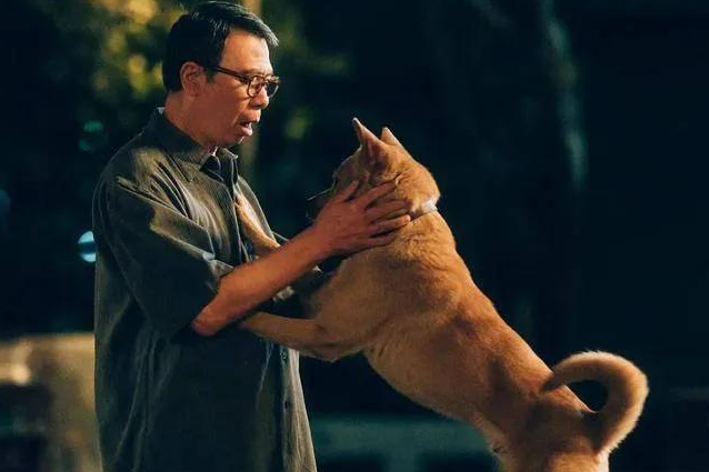 冯小刚忠犬八公为什么不让上