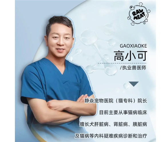 猫慢性肾病全方位讲座:预防,诊治,饮食,护理 猫慢性肾病全方位讲座:预防,诊治,饮食,护理