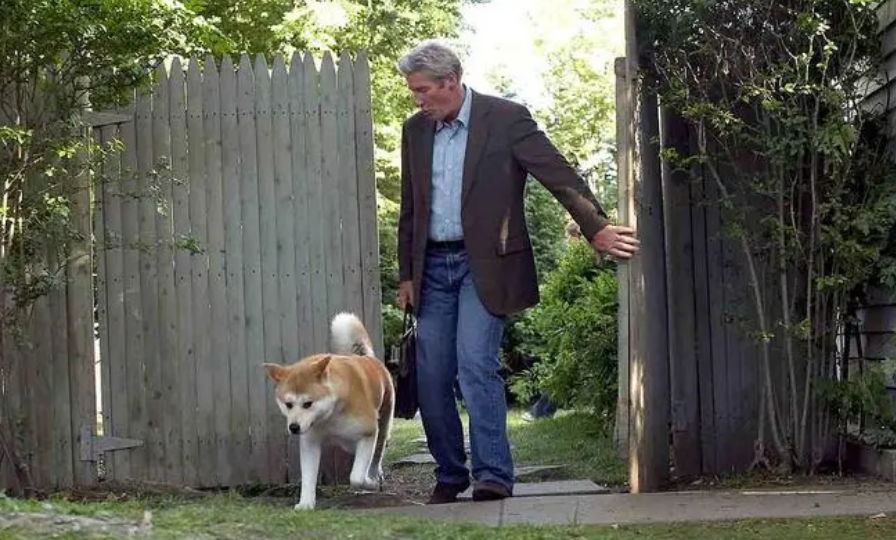 忠犬八公用了多少只狗
