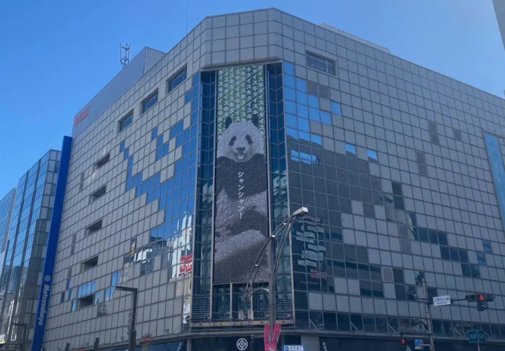 中国大熊猫，如何在日本成了“顶流”？