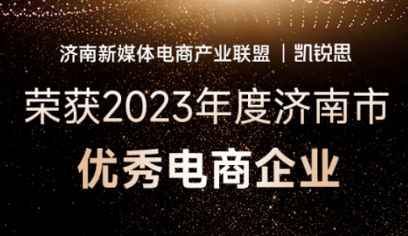 喜讯！凯锐思荣获2023年度济南市优秀电商企业奖项！