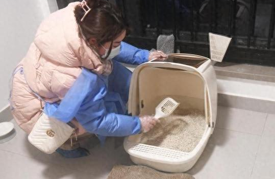 春节宠物托管师生意火爆:价格翻了倍,背后有隐忧
