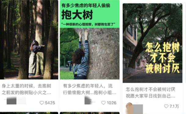 “抱大树”“养芒狗”……年轻人开启解压新姿势_宠界新闻