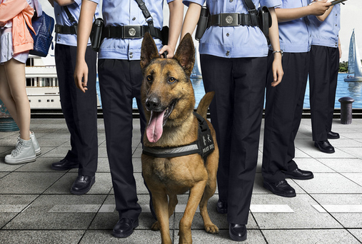 警犬来啦梁粤艾滋病第几集 警犬来啦梁粤艾滋病第几集