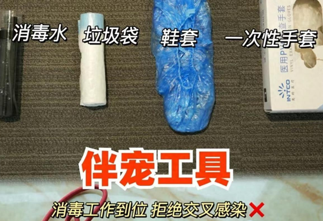 春节期间宠物上门喂养服务订单火爆,业内人士提醒:入行需慎重