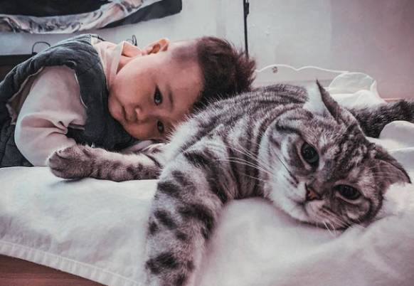 猫保姆累瘫，翻肚熟睡在宝宝身边：培养小奴才不容易啊...