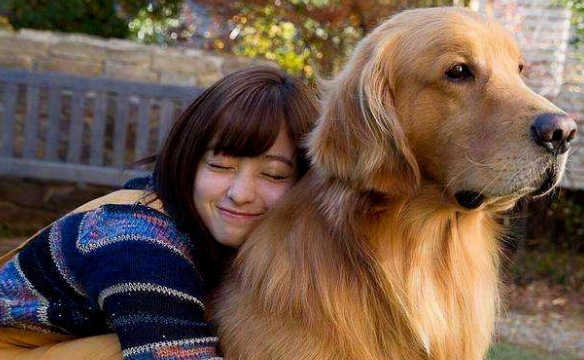 女生适合养大型犬吗