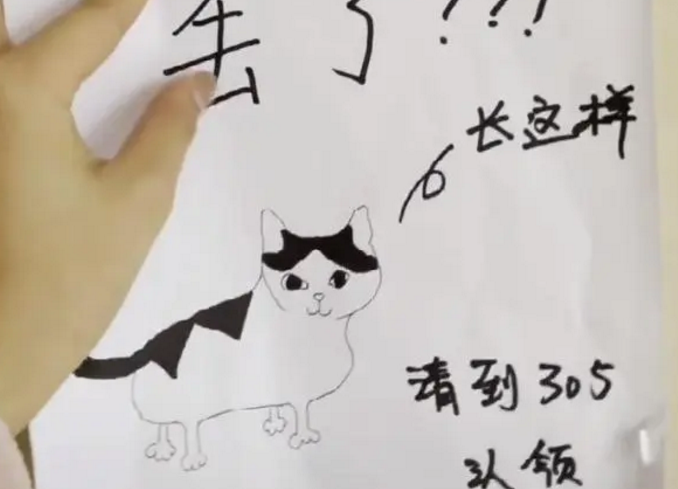 给猫咪找主人,没想到我却火了,都是因为画的太像? 给猫咪找主人,没想到我却火了,都是因为画的太像?