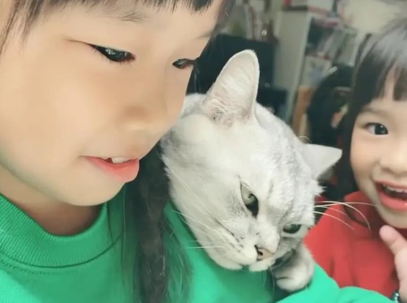猫咪骚扰姐姐写作业,姐姐淡定不理,最后它竟使出这招... 猫咪骚扰姐姐写作业,姐姐淡定不理,最后它竟使出这招...