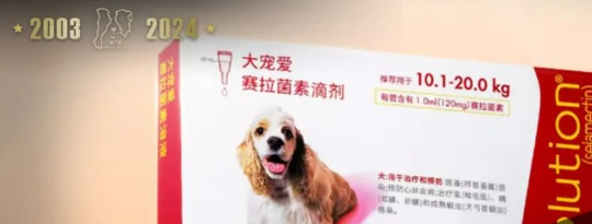 【边境牧羊犬百科】边牧/柯利犬的药物黑名单 【边境牧羊犬百科】边牧/柯利犬的药物黑名单
